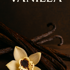 Collection image for: Vanilla