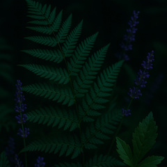 Collection image for: Fougere